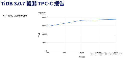 HTAP 数据库的未来数据处理服务